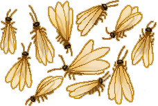 pixel drawing of a bunch of alleluiah bugs crawling over each other