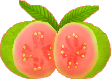 pixel drawing of a guava cut in half