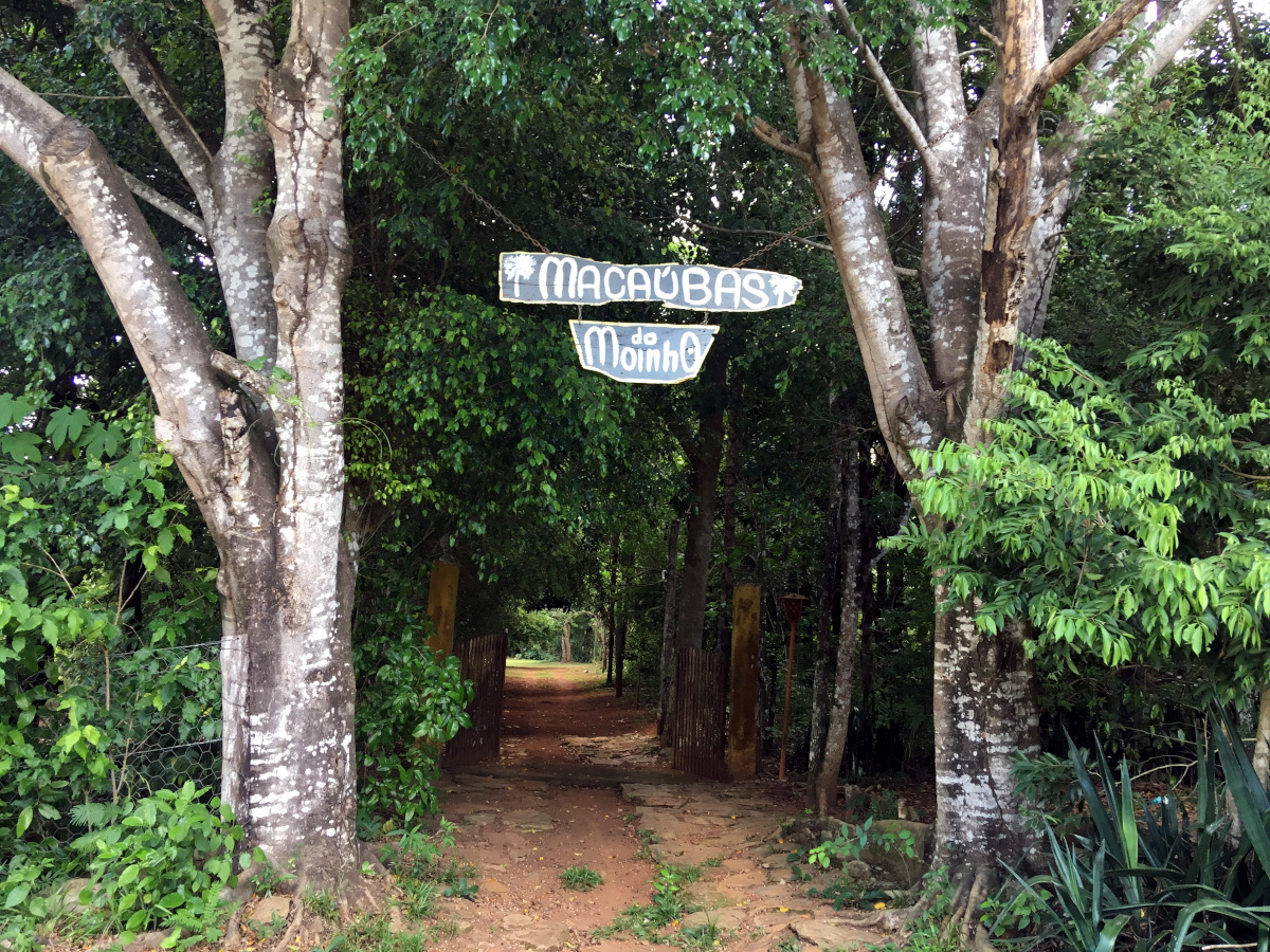 Forest with wood sign saying Moinho 